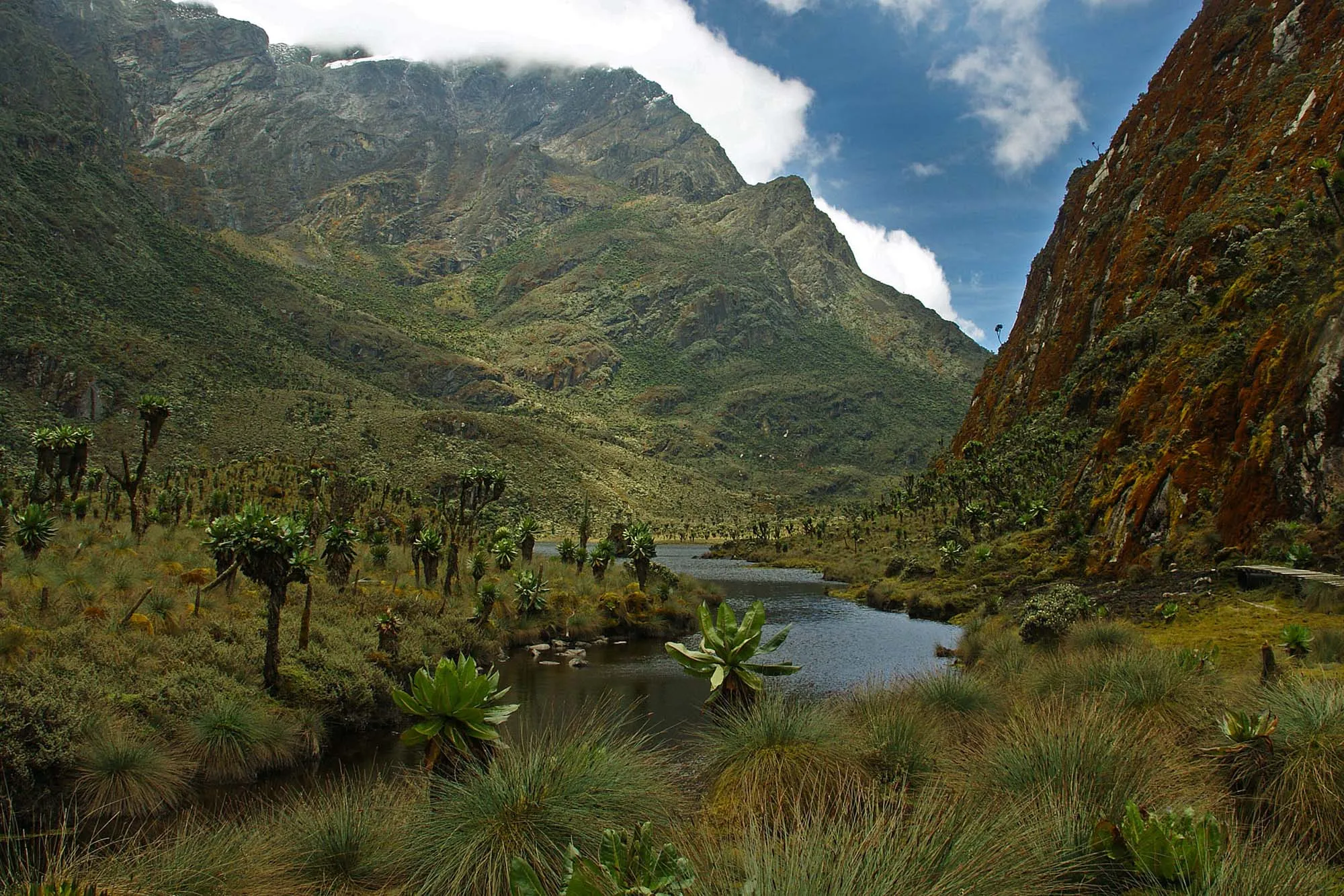 Rwenzori Mountains